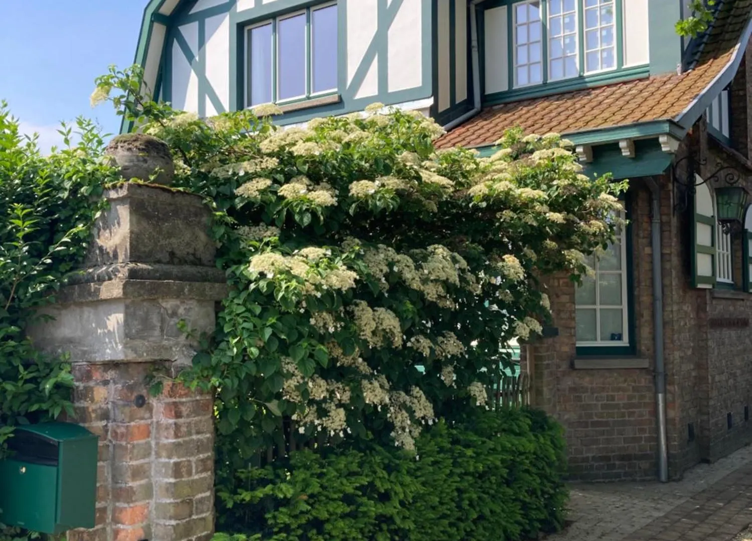 Frühstückspension Bed and Breakfast Tree & B Brügge Belgien