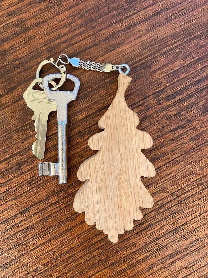 Bed and Breakfast Tree & B Brujas