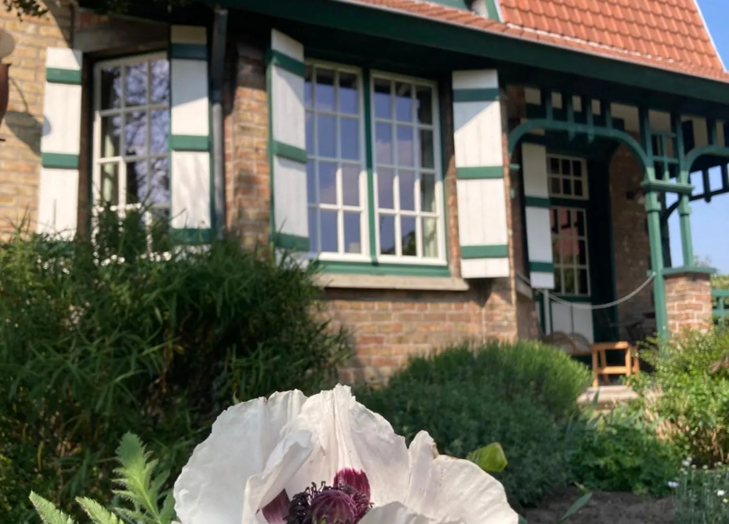 Bed and Breakfast Tree & B Brujas Bélgica